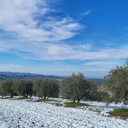 Dimora In Francigena Hotel San Quirico d'Orcia Eksteriør billede