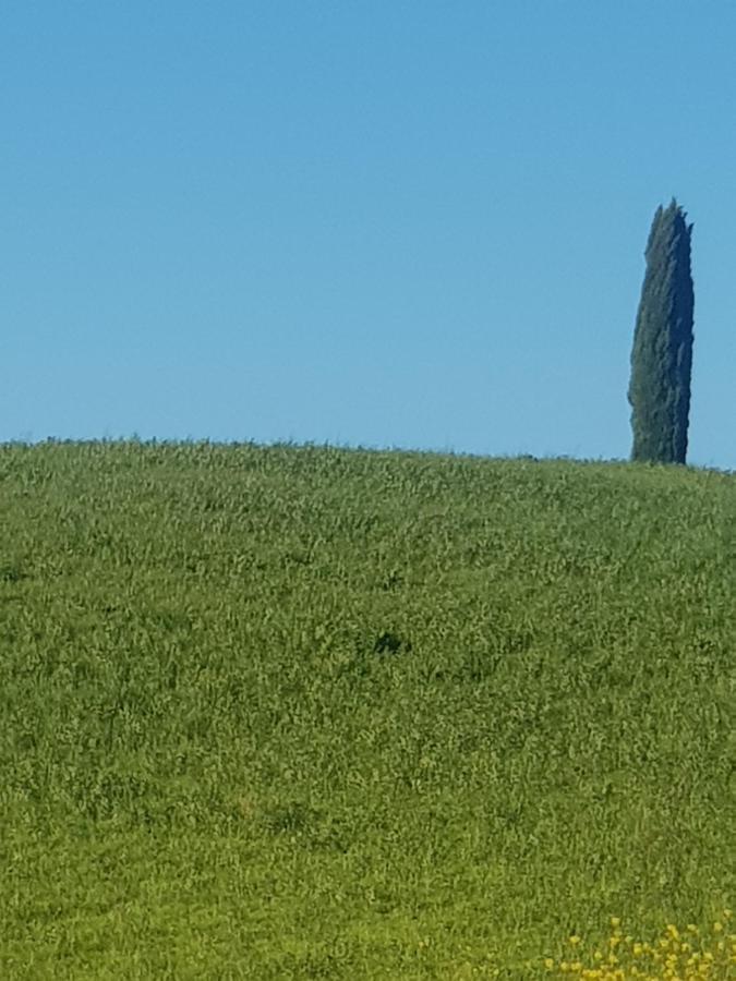 Dimora In Francigena Hotel San Quirico d'Orcia Eksteriør billede