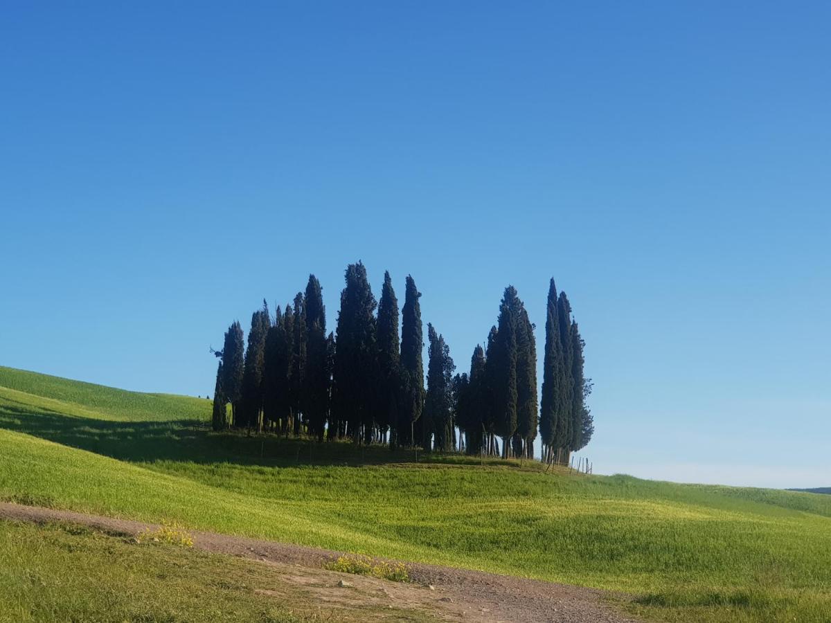 Dimora In Francigena Hotel San Quirico d'Orcia Eksteriør billede