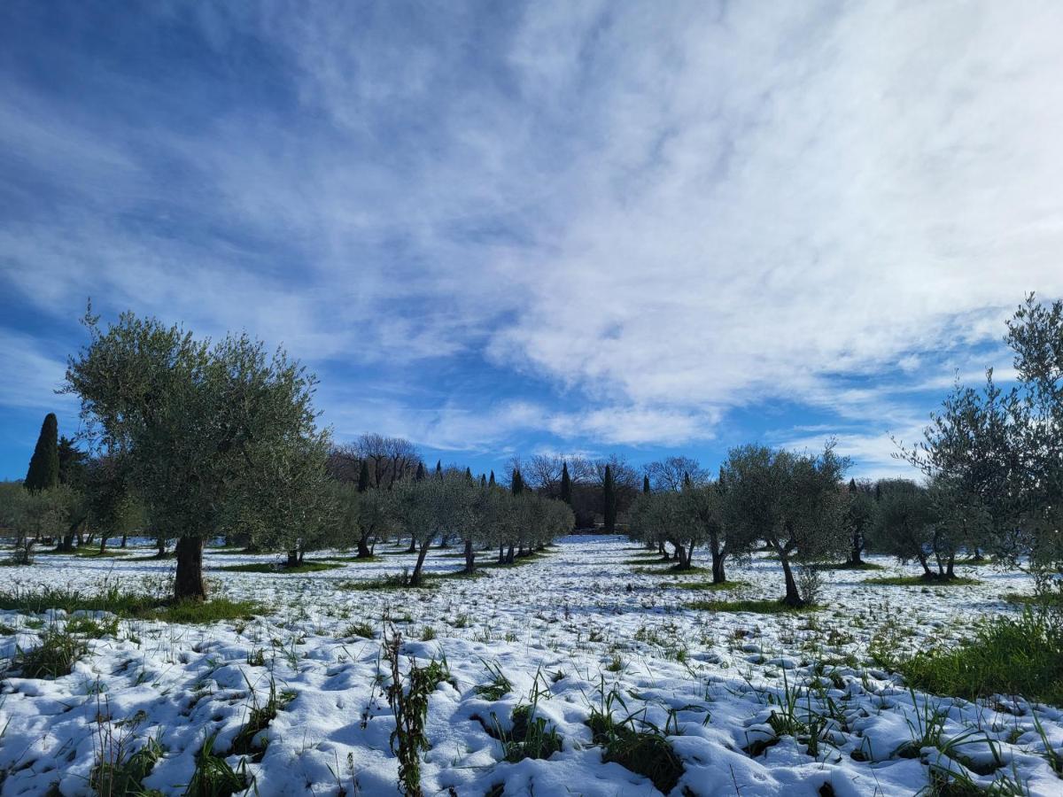 Dimora In Francigena Hotel San Quirico d'Orcia Eksteriør billede